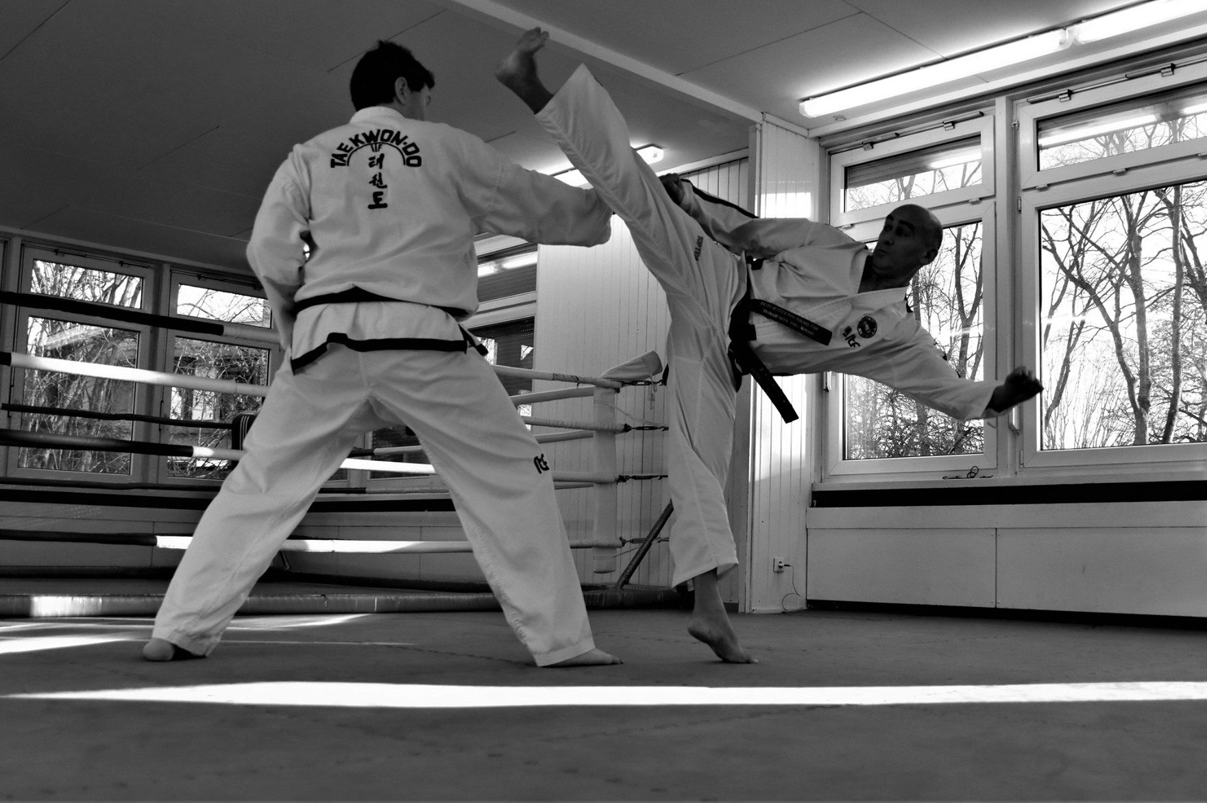 Taekwondo-Kick